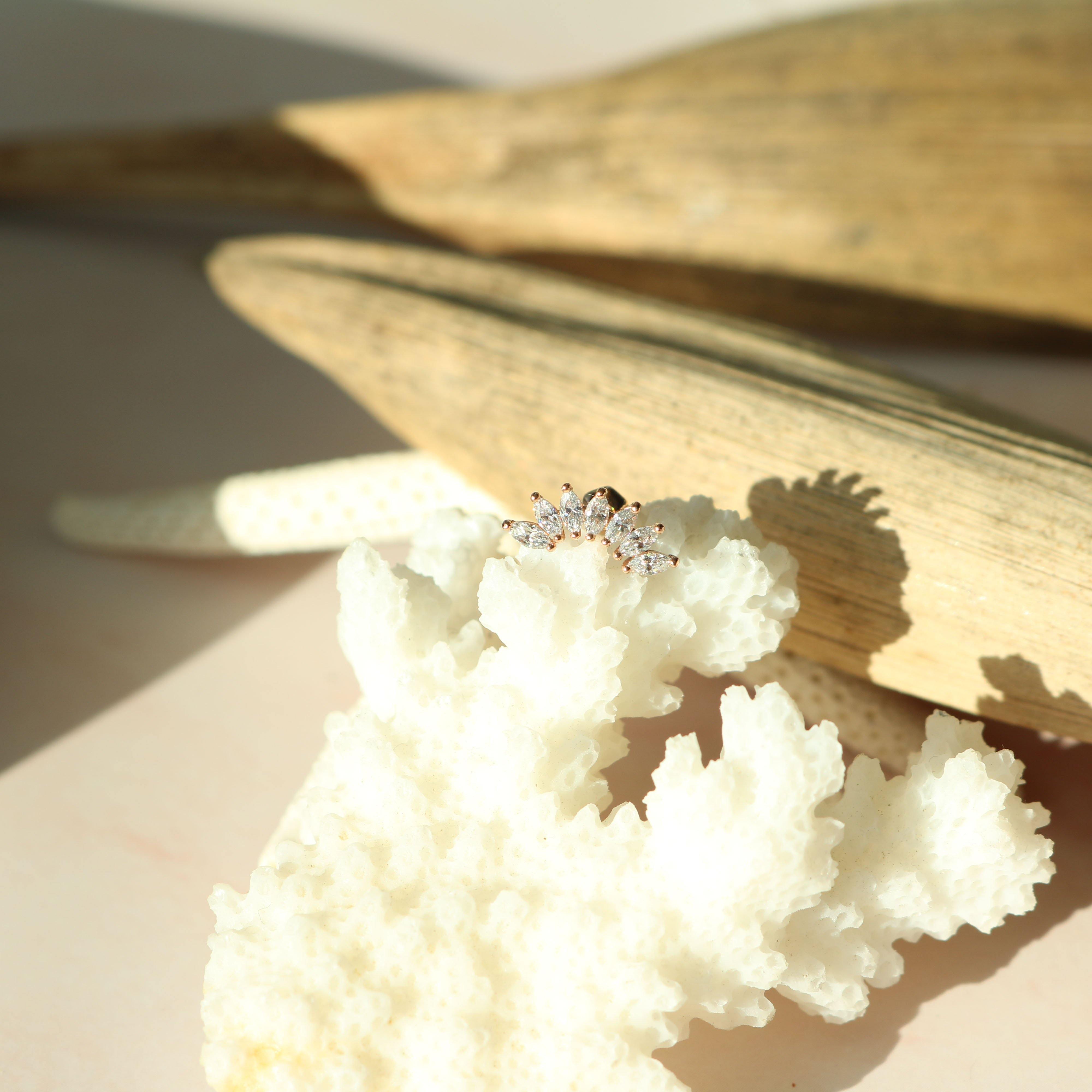 Crystal wing barbell - NABILONDON