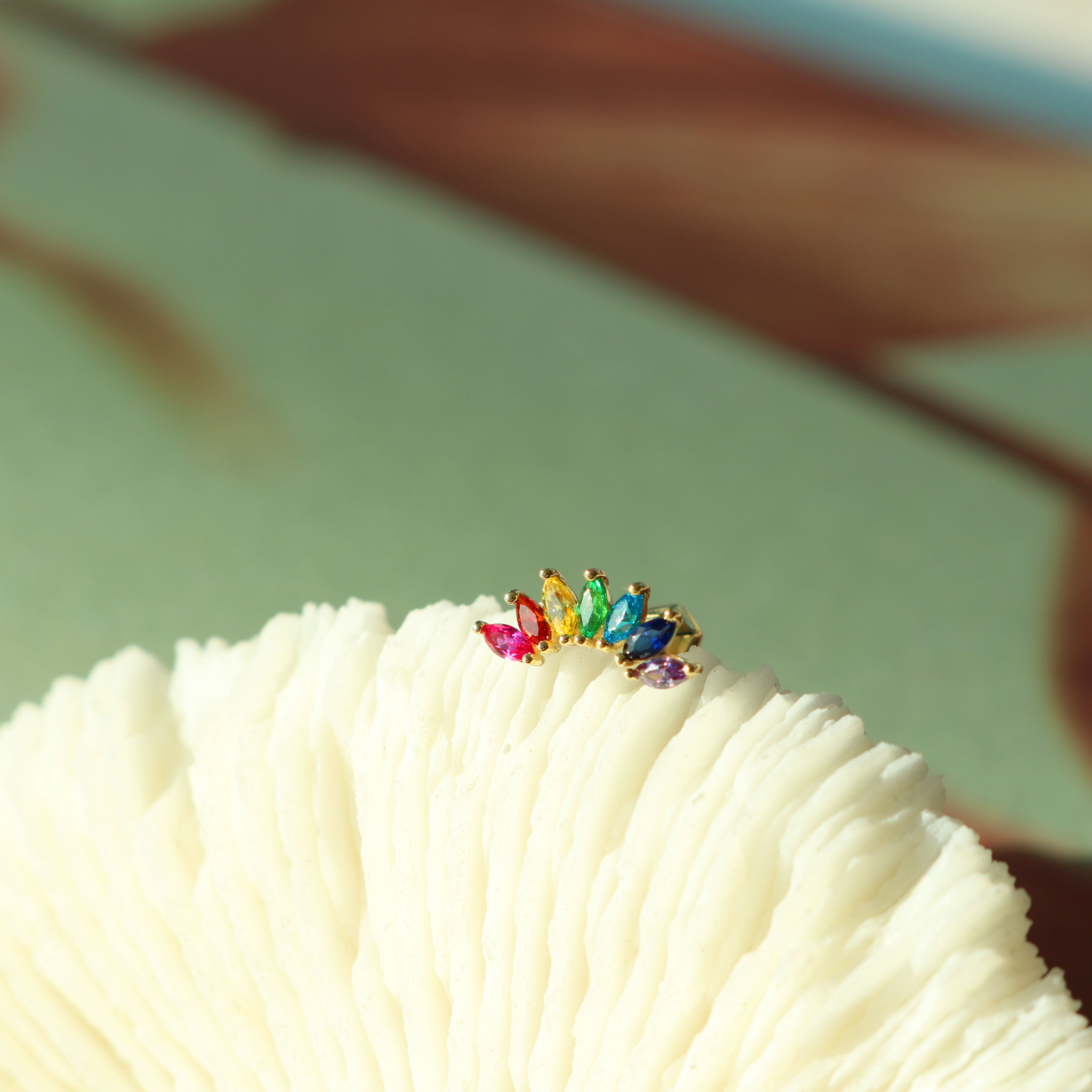 Rainbow wing barbell