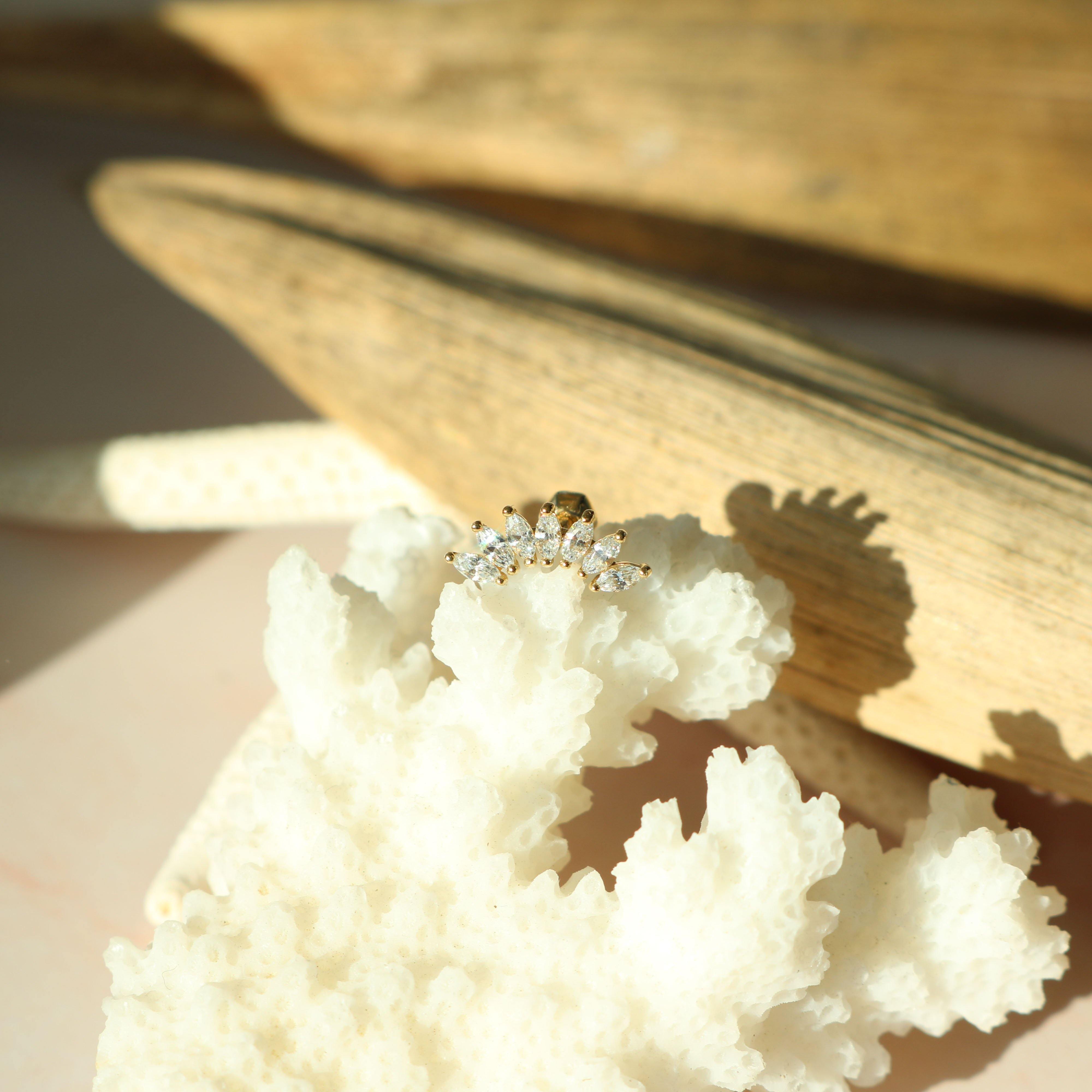 Crystal wing barbell - NABILONDON