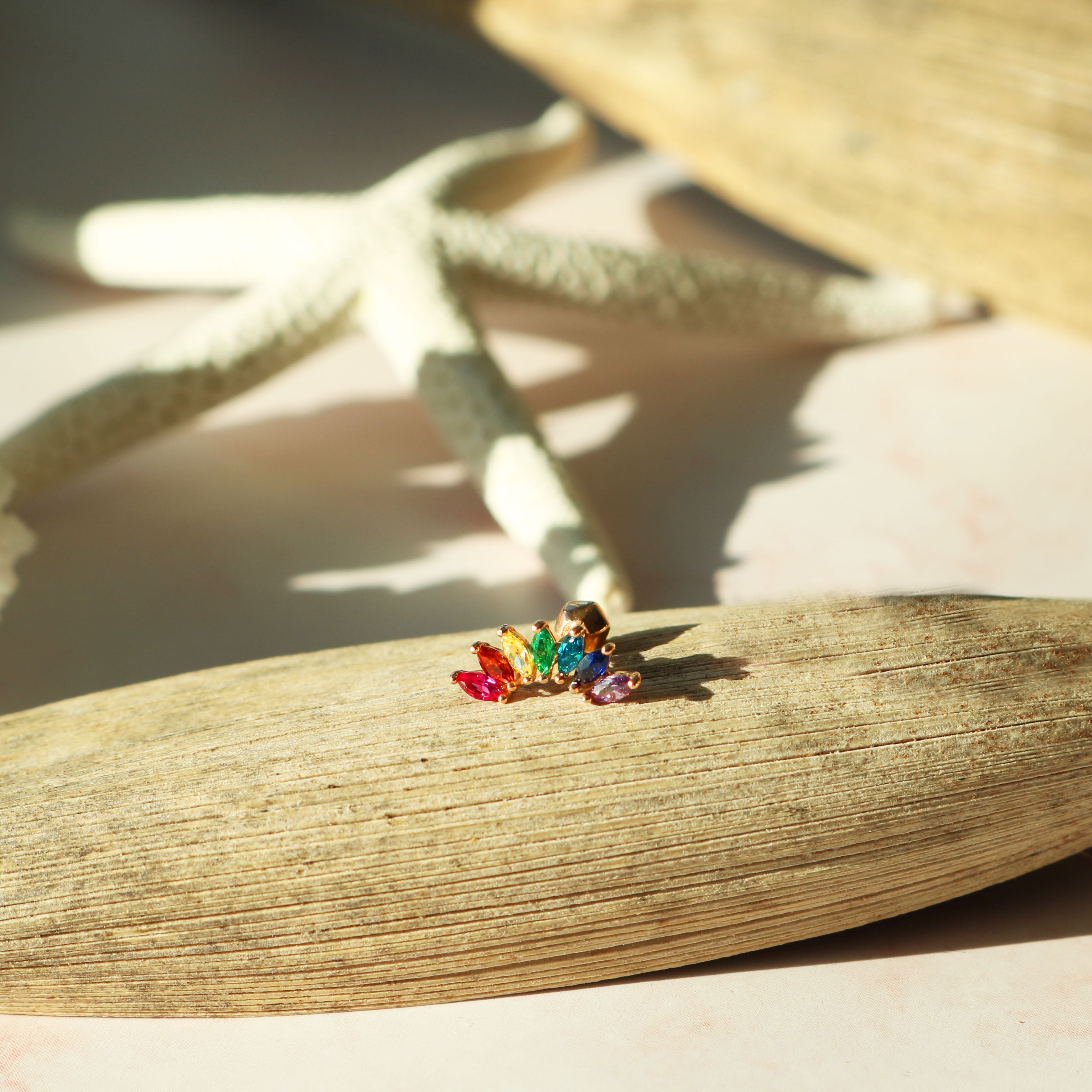 Rainbow wing barbell